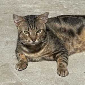 Meet your Posher, Desiree